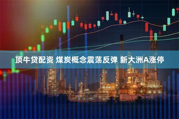 顶牛贷配资 煤炭概念震荡反弹 新大洲A涨停